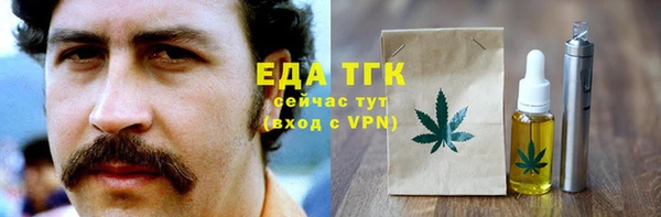 СК Алексин
