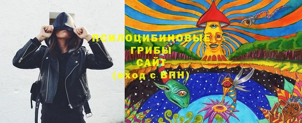 СК Алексин