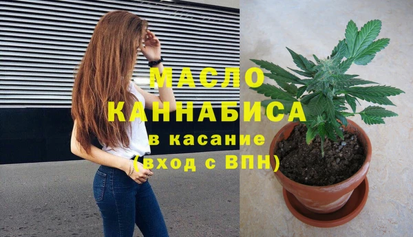 СК Алексин
