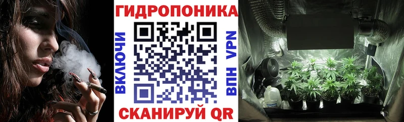 Бошки Шишки марихуана Ахтырский